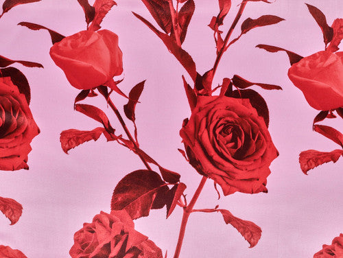 Red roses on a pink background