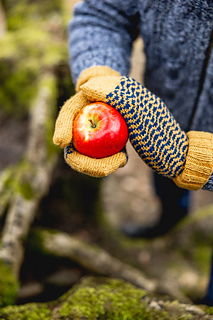 Person holding a red apple with knitted gloves in a natural setting