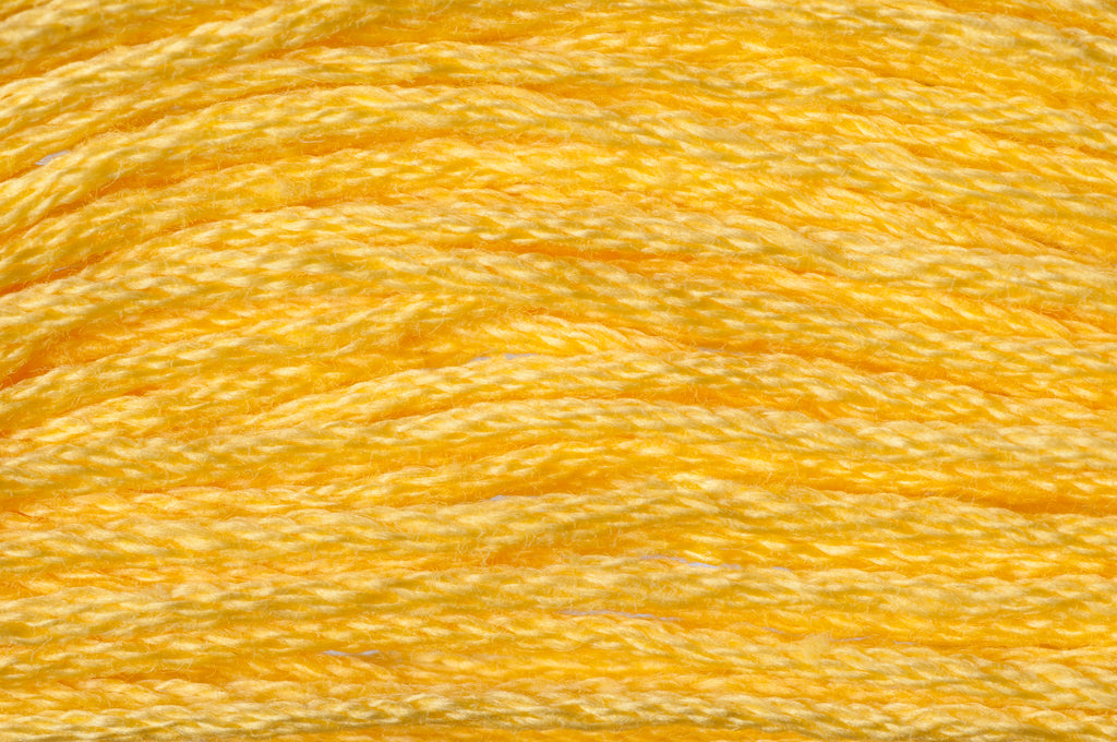 Close-up of yellow embroidery floss