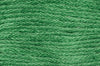 Close-up of green embroidery floss