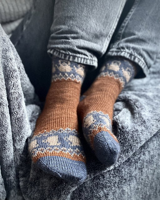 Person wearing patterned brown and blue socks on a gray surface