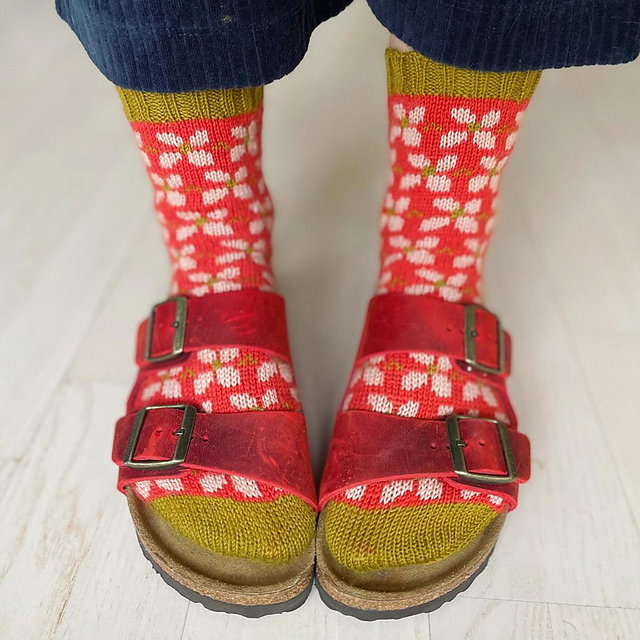 Red sandals with buckles worn with red and white patterned socks on a light wooden floor.