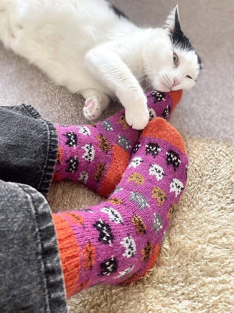 Cat playing with colorful socks on a carpeted floor