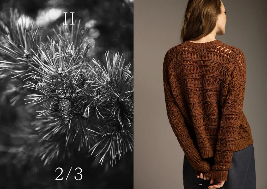 Brown knitted sweater worn by a person on a plain background, with a close-up of pine needles on the left.