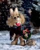 A crocheted bunny doll wearing a dark red sweater and blue scarf, holding a small green Christmas wreath, posed in a snowy winter scene with a blurred Christmas tree background.