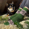 Dog sitting next to a person wearing green and patterned socks on a wooden floor.