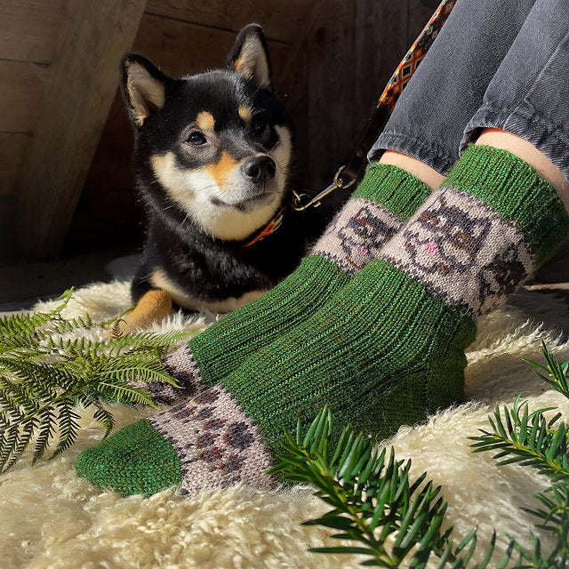 Dog sitting next to a person wearing green and patterned socks on a wooden floor.