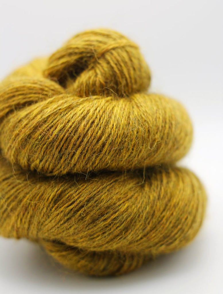 Mustard yellow skein of yarn on a white background