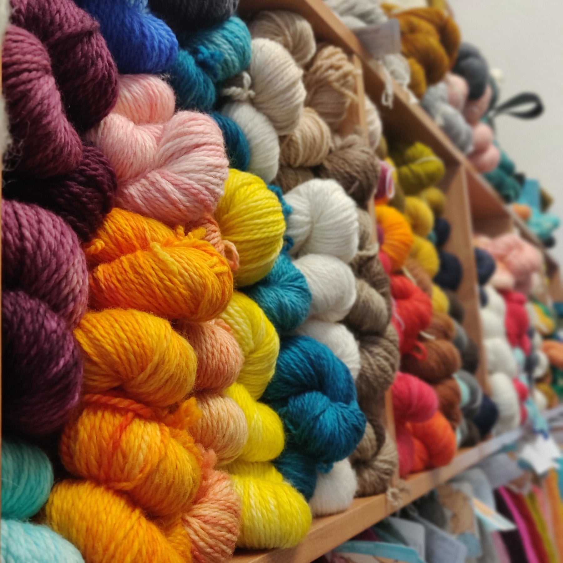 Wool Ginger Ginger Twist Studio wool & yarn shop for knitting, crochet & spinning